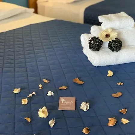 Papillon 2* San Polo d'Enza